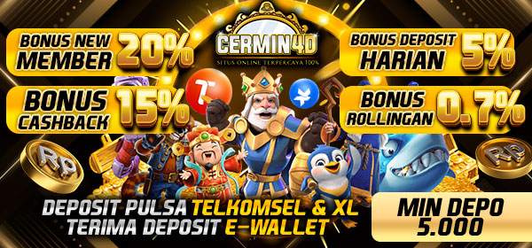 CERMIN4D
